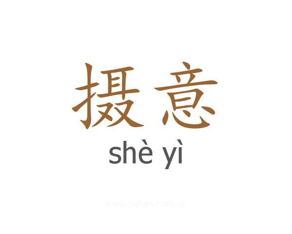 摄意