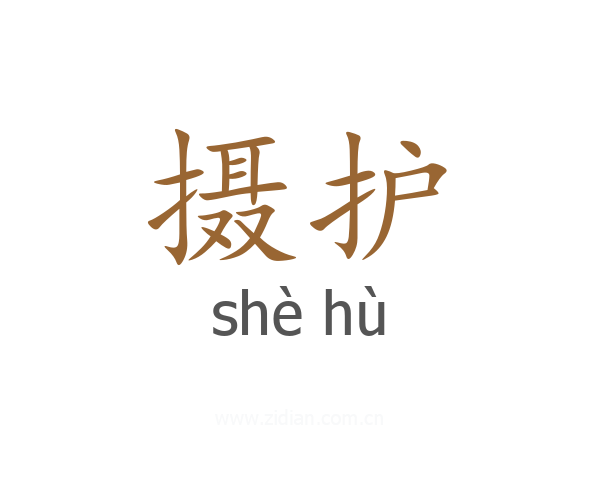 摄护