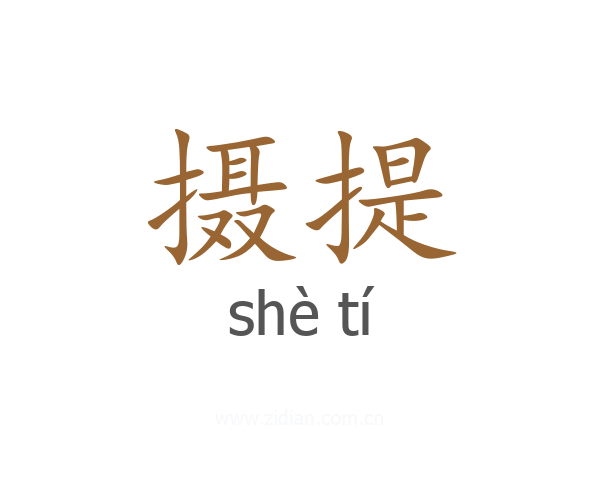 摄提