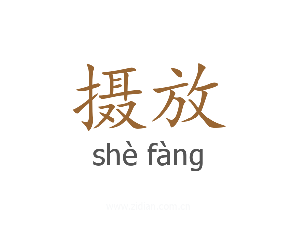 摄放