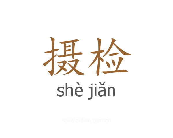 摄检