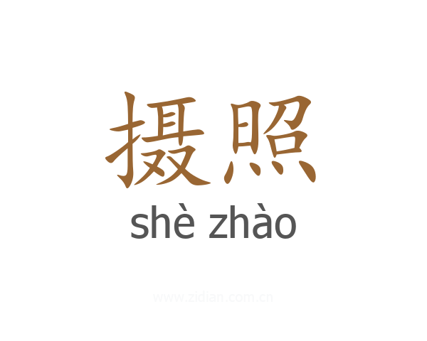 摄照