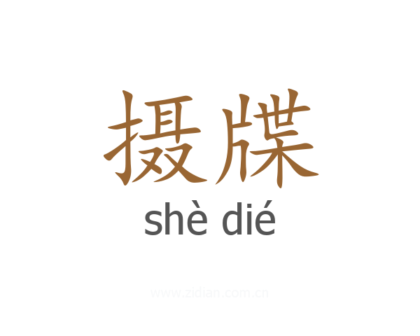 摄牒