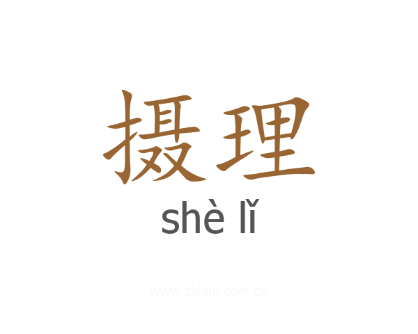 摄理