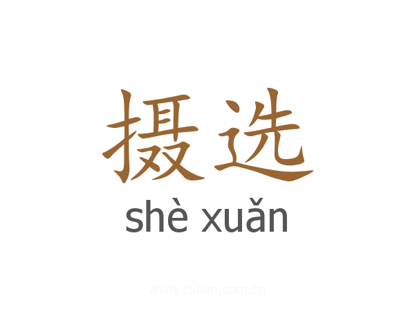摄选