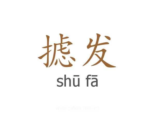 摅发