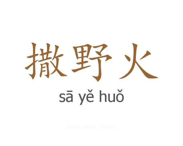 撒野火
