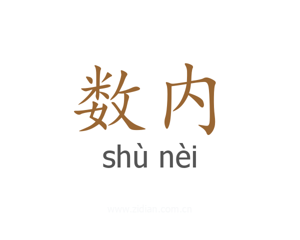 数内