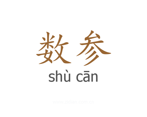 数参