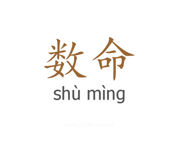 数命