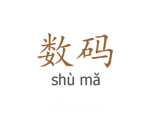 数码