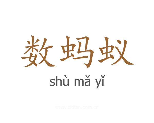 数蚂蚁