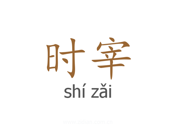 时宰
