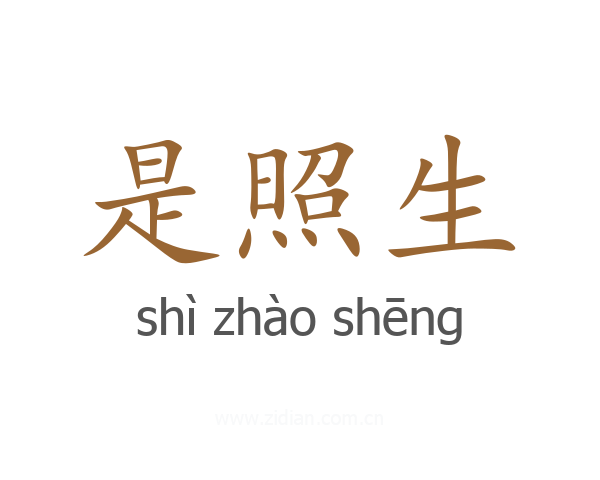是照生