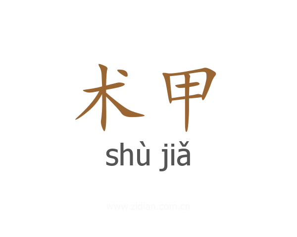 术甲