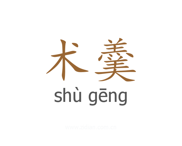 术羹