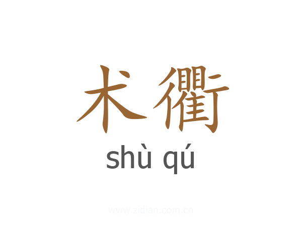 术衢