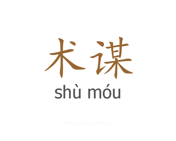 术谋
