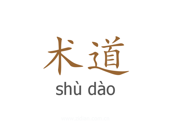 术道