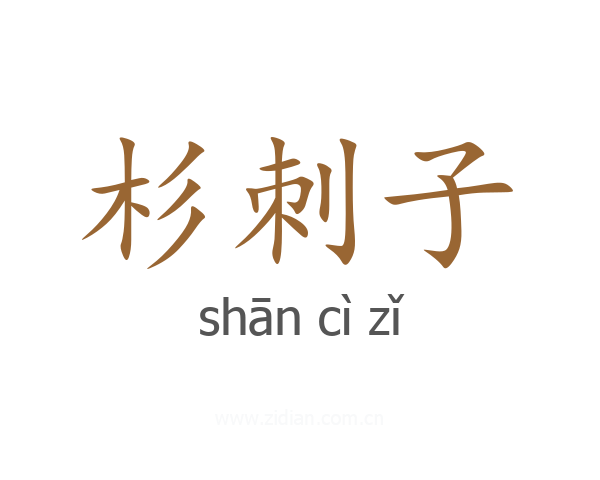 杉刺子