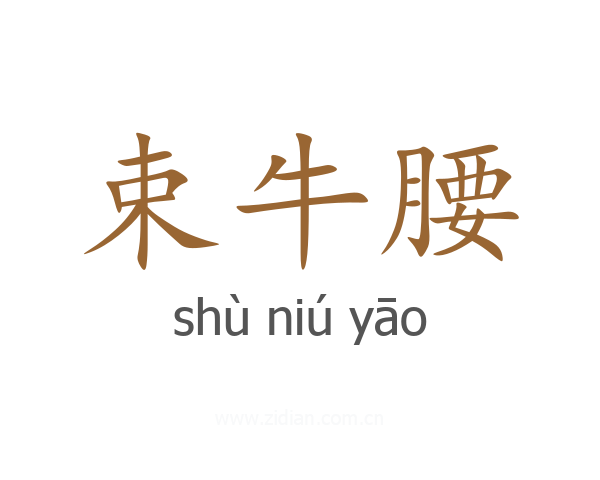束牛腰