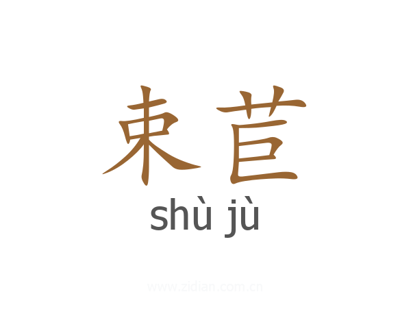 束苣