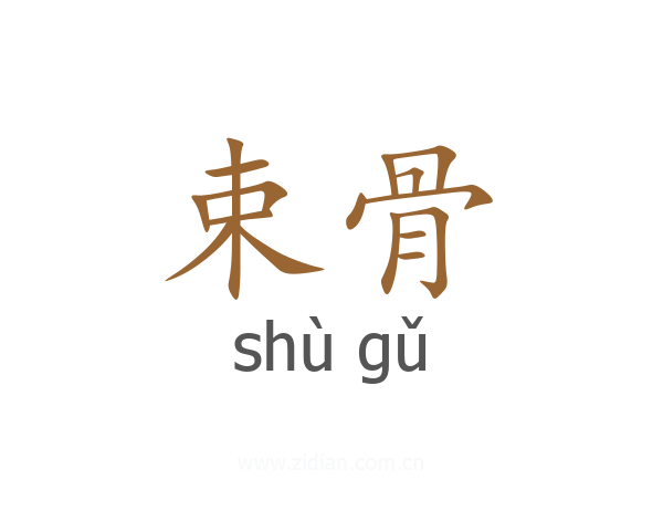 束骨
