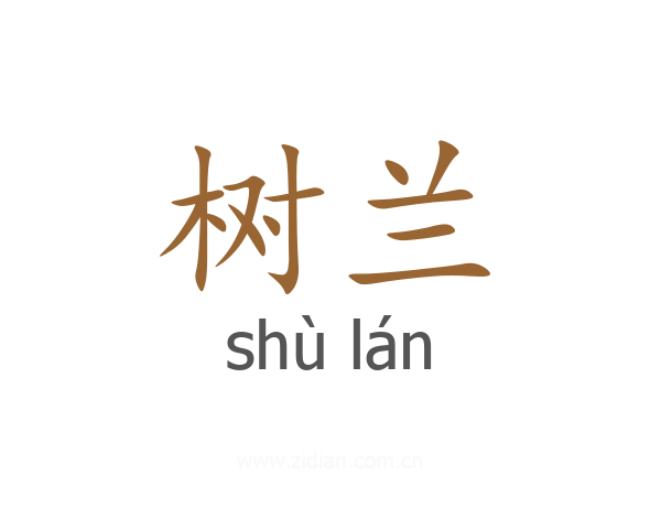 树兰
