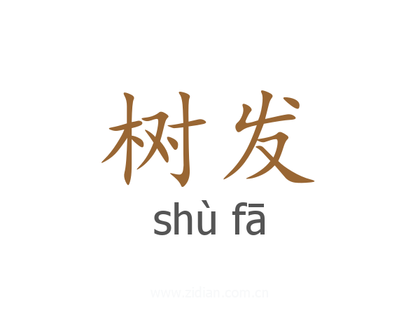 树发