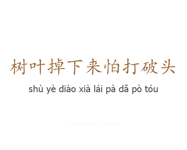 树叶掉下来怕打破头