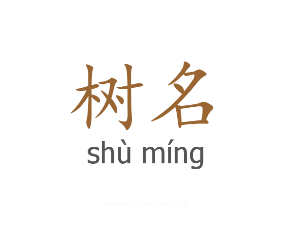 树名