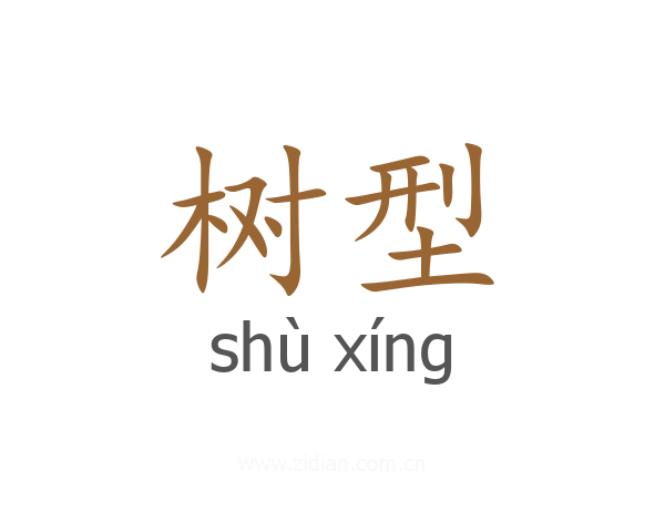 树型