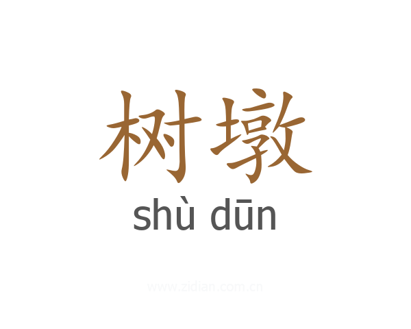 树墩