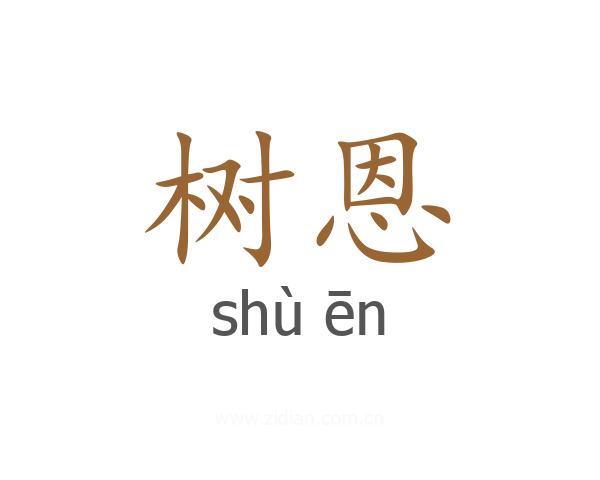 树恩