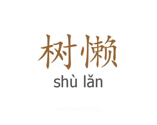 树懒