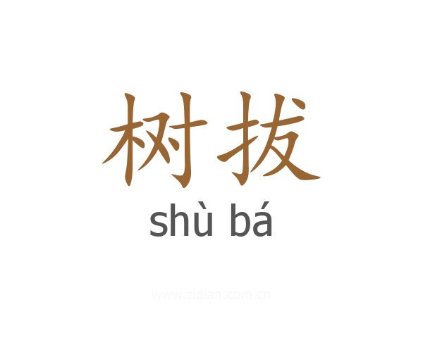 树拔