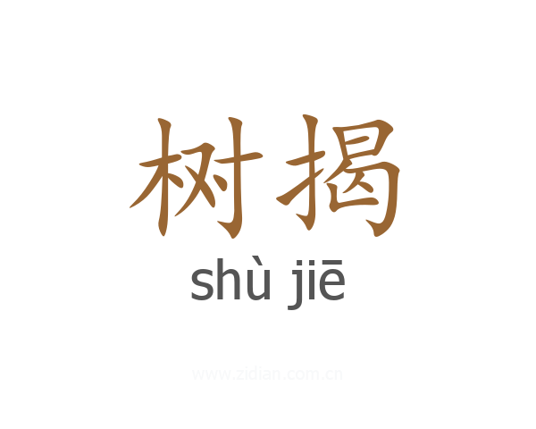 树揭