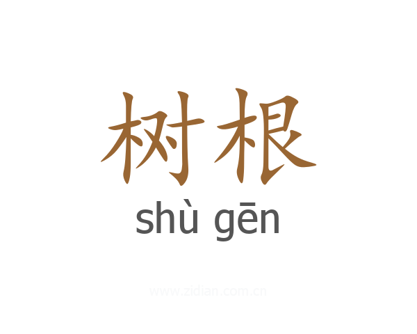 树根