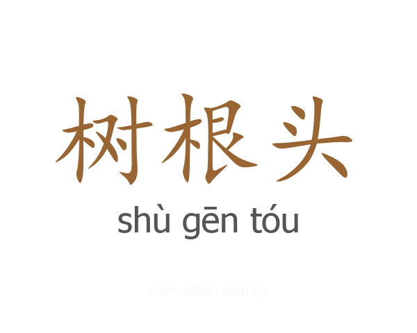 树根头