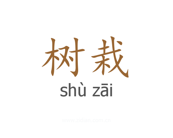 树栽