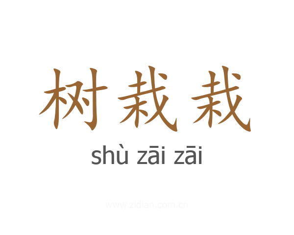 树栽栽