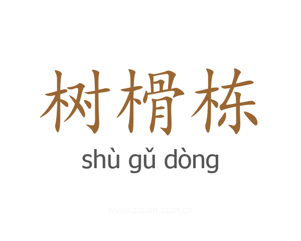 树榾栋