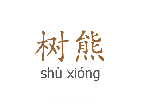 树熊