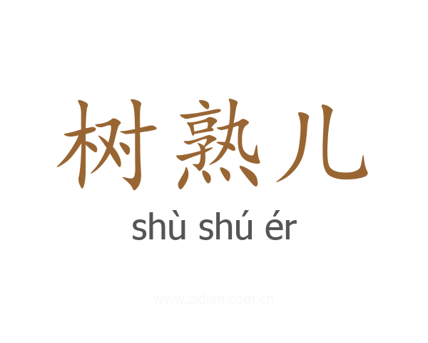 树熟儿