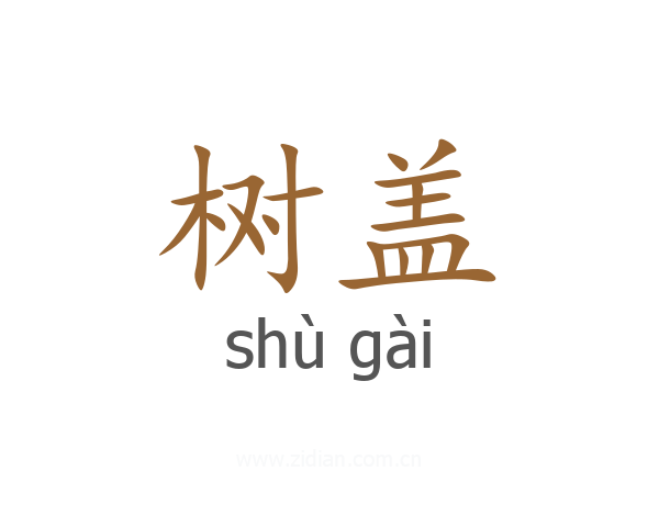 树盖