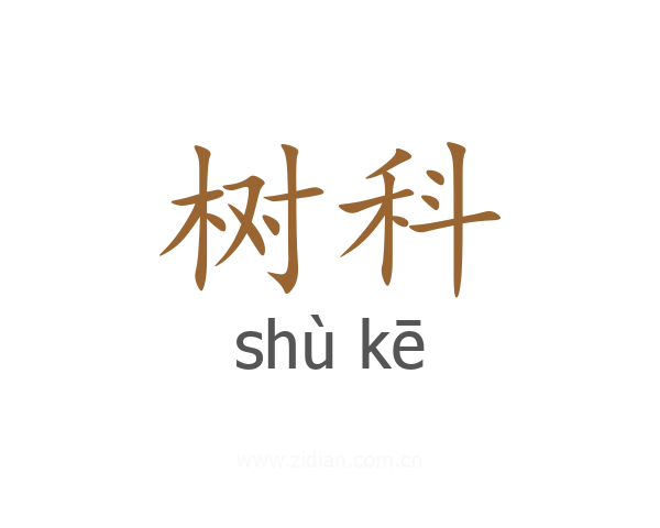 树科