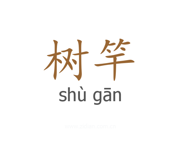 树竿