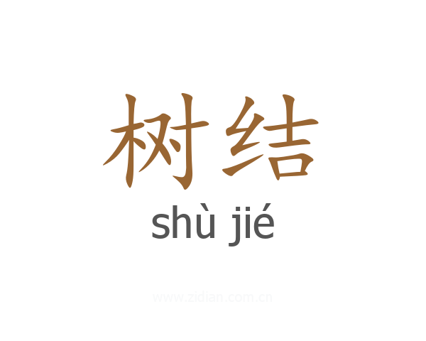 树结