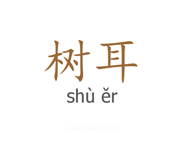 树耳