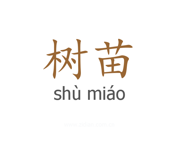 树苗